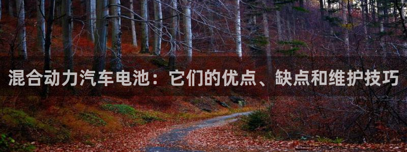 优发国际登陆u