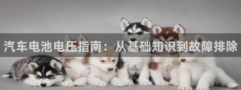 优发国际游戏官方网站入口