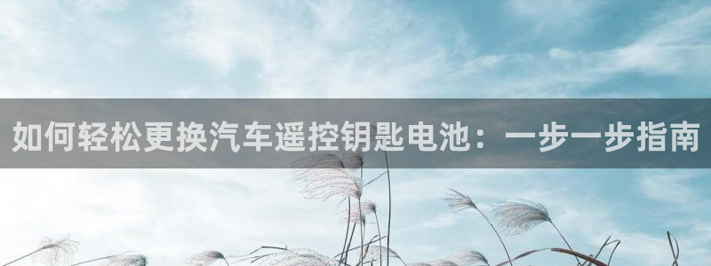优发国际的官网是什么软件