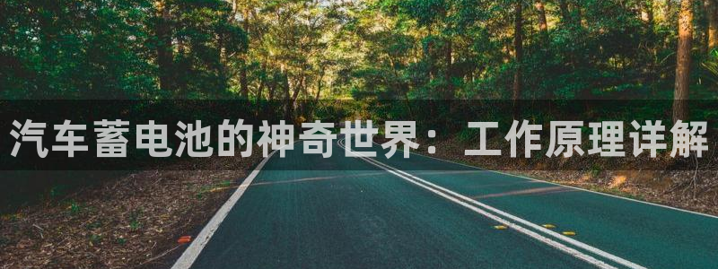优发国际bob