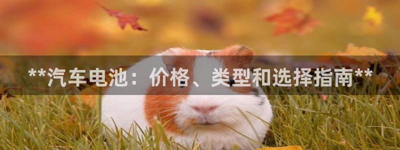 优发国际手机版客户端下载
