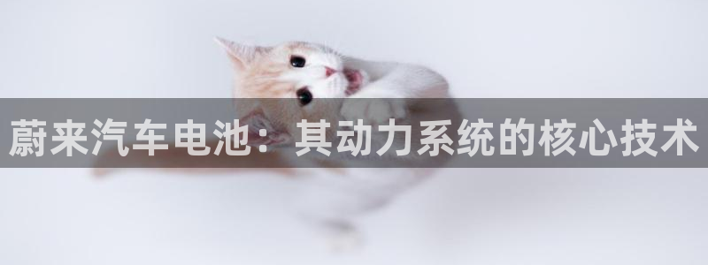 优发国际下载app