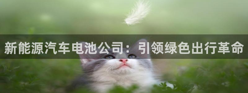 优发国际网官网17w80是什么