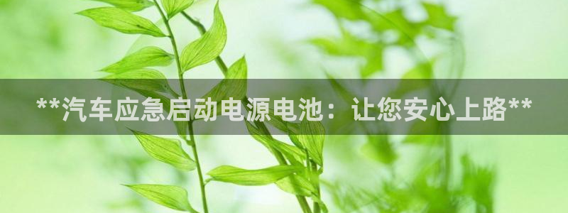 优发国际bob