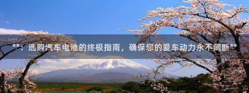 优发国际多少