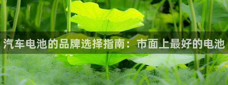 优发国际手机版官网