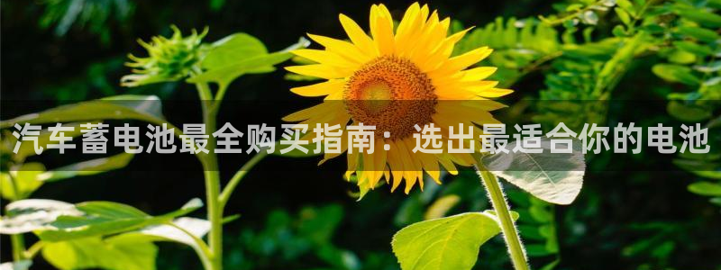 优发国际集团股份有限公司官网
