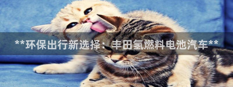 优发国际手机app下载安装官网