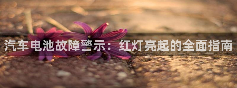 优发国际是真的吗