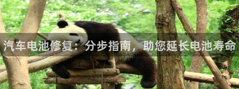 优发国际的官网是什么软件