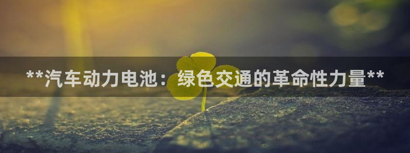 优发国际网站多少