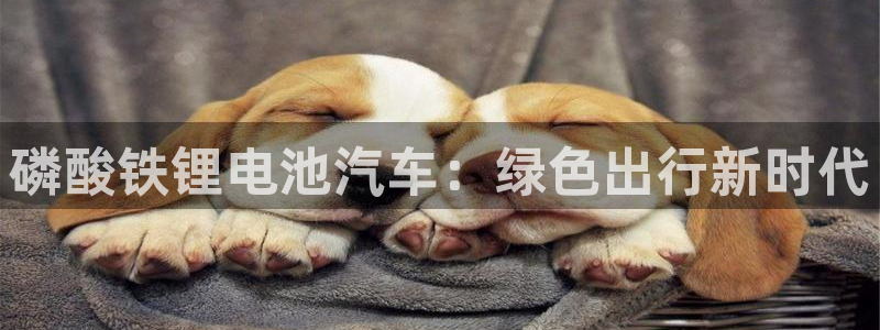 优发国际合并到哪里了