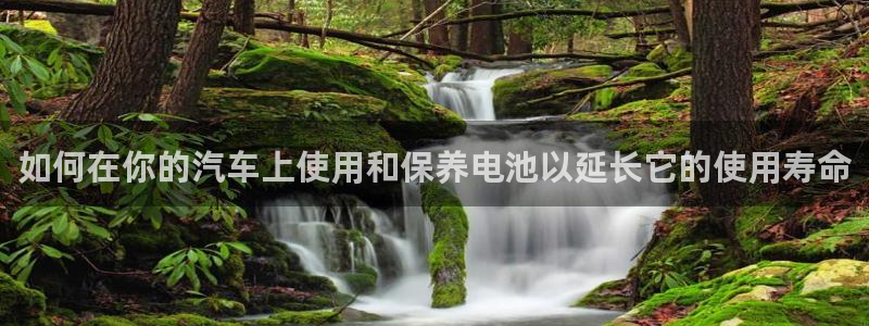 优发国际是大平台吗还是小平