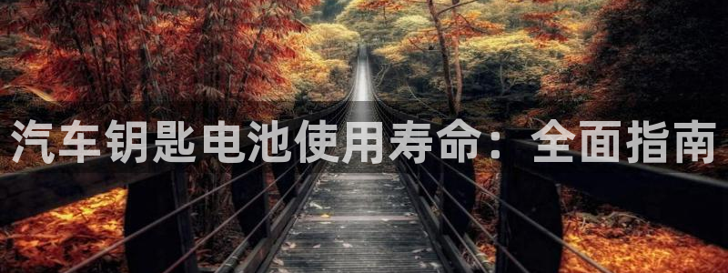 优发国际官网