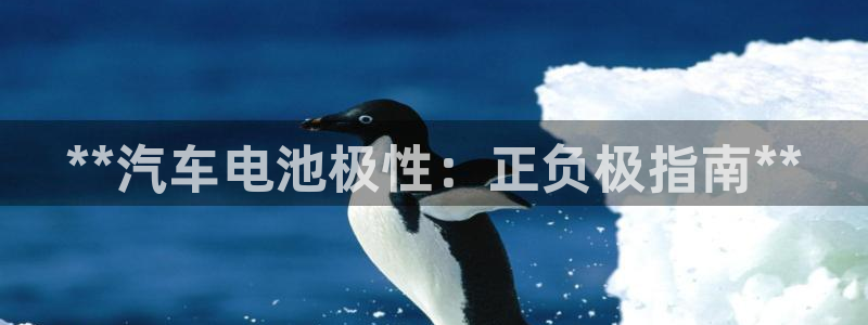 优发国际的官网是