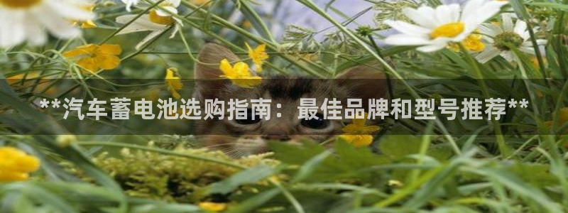 优发国际手机app下载安装官网