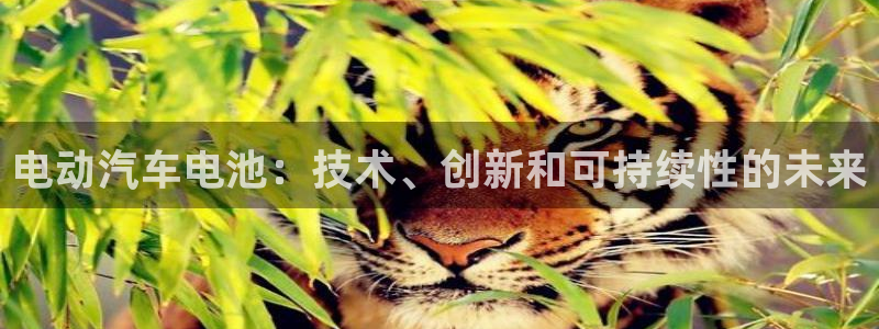 优发国际游戏17岁能玩吗