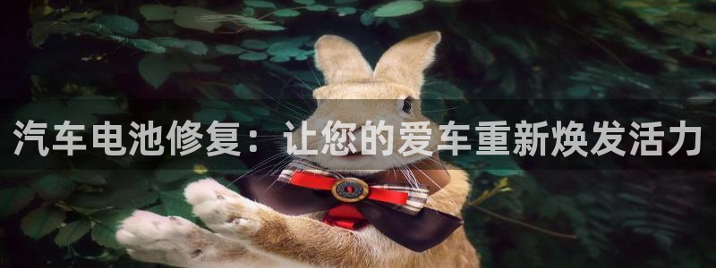 优发国际手机版下载官网