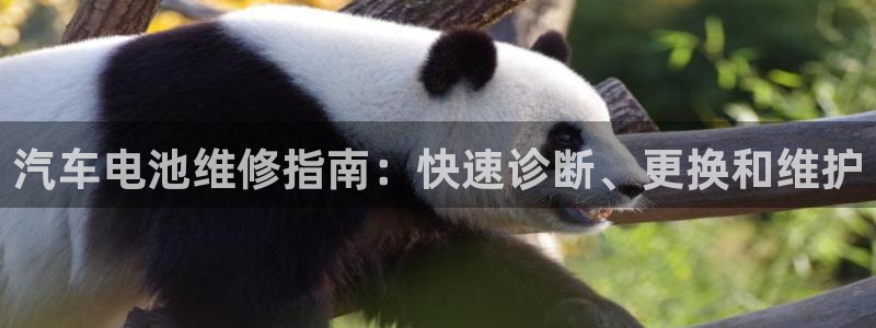 优发国际平台g8