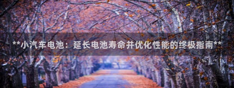 优发国际手机版官网