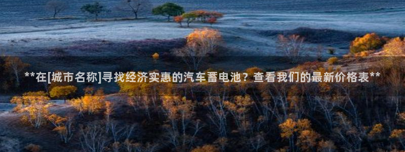 优发国际youfa