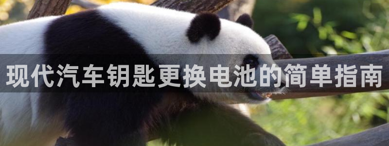 优发国际app