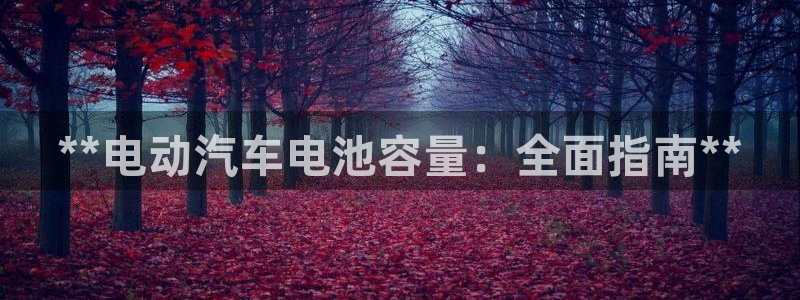 优发国际提现不了