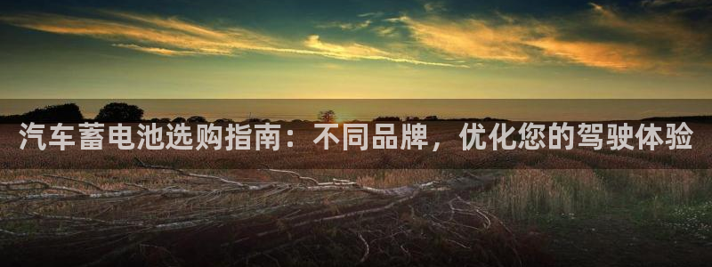 优发国际手机版官网