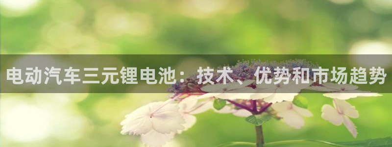 优发国际网官