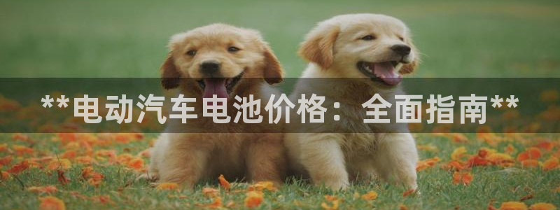 优发国际手机版客户端