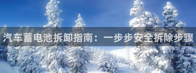 优发国际youfa966