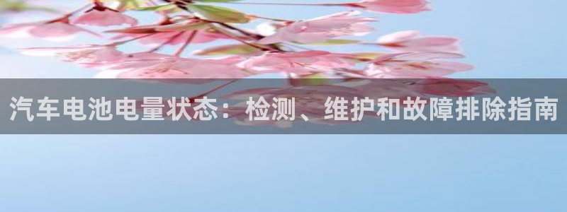 优发国际多少钱