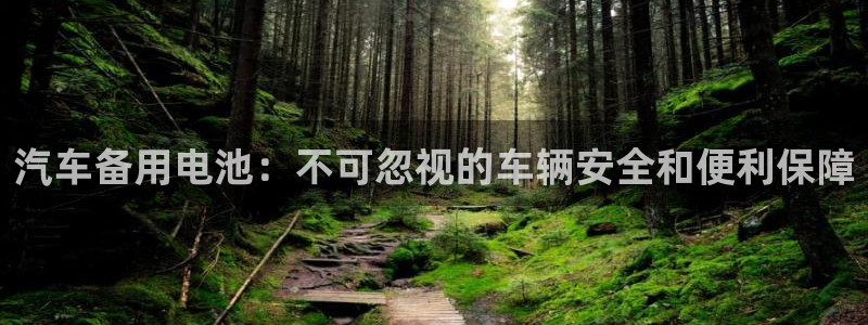 优发国际youfa