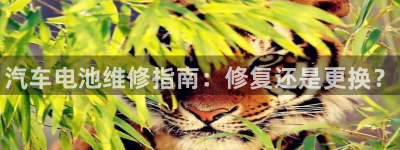 优发国际手机版客户端下载安装