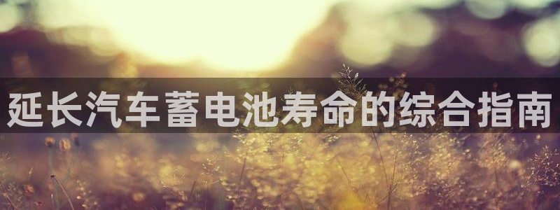 优发国际官网登录