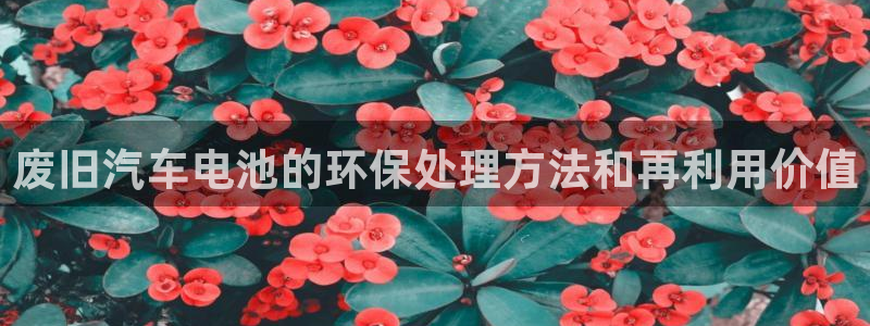 优发国际登录168