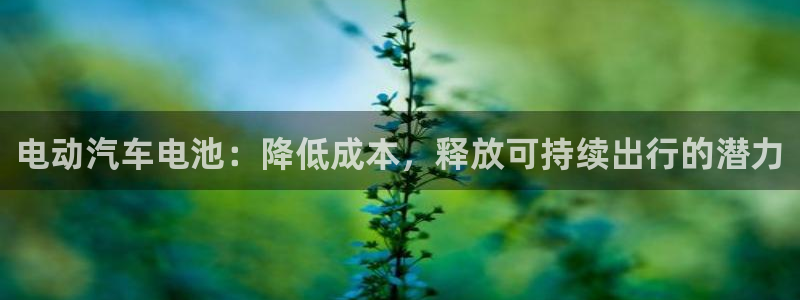 优发国际手机版下载官网