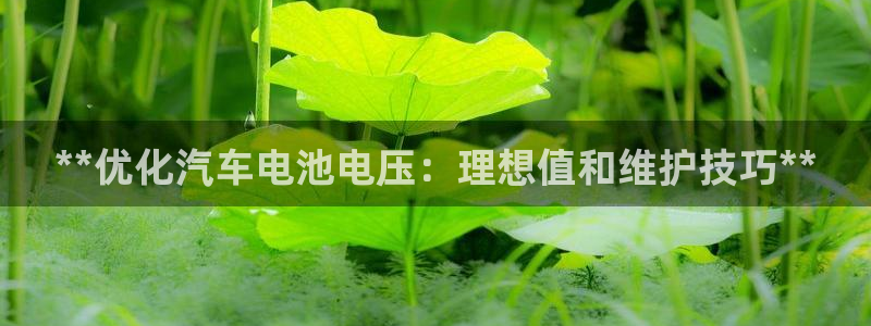 优发国际是合法的吗
