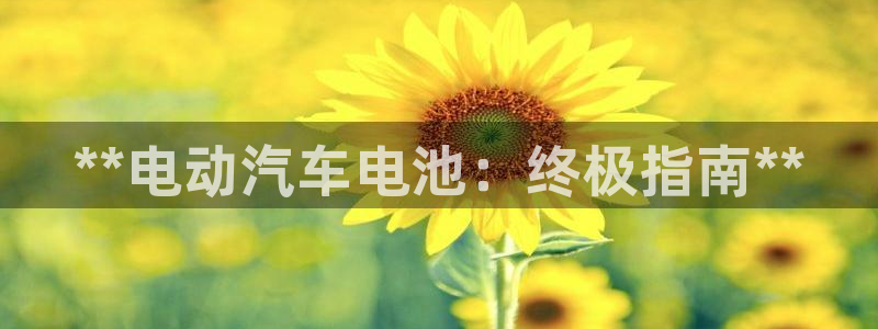 优发国际手机客户端下载安装