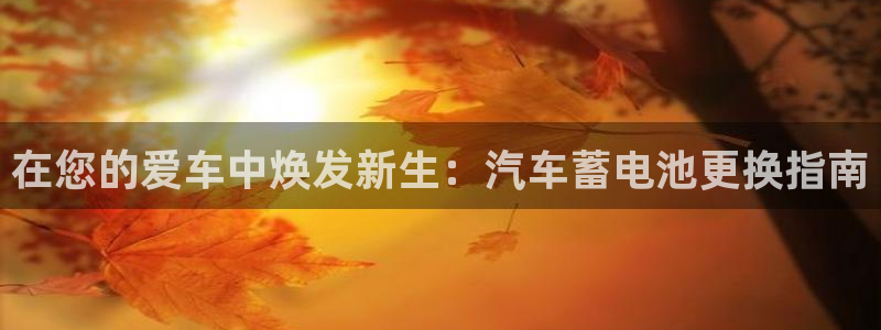 优发国际手机版唯一官网是什么