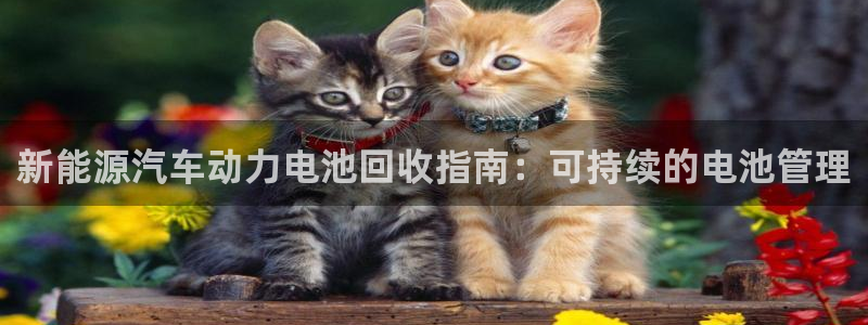 优发国际官网下载安装苹果