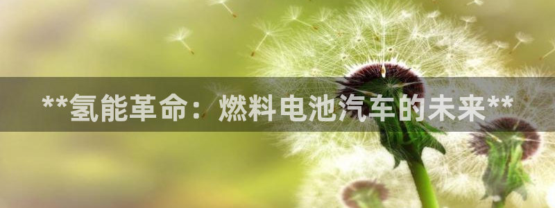 优发娱乐国际线上营业时间