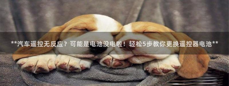 优发国际合并到哪里了啊