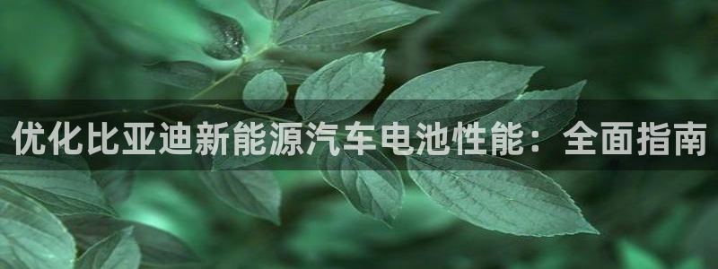 优发国际官方网手机版