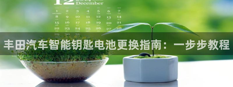 优发国际怎么样