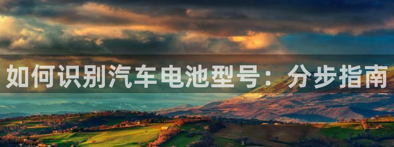 优发国际官方网手机版下载安卓
