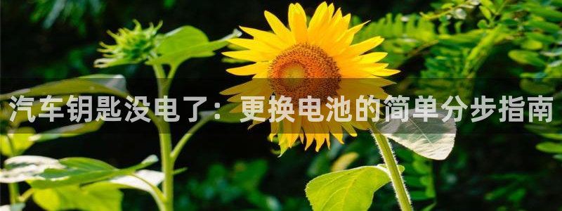 优发国际是大平台吗知乎