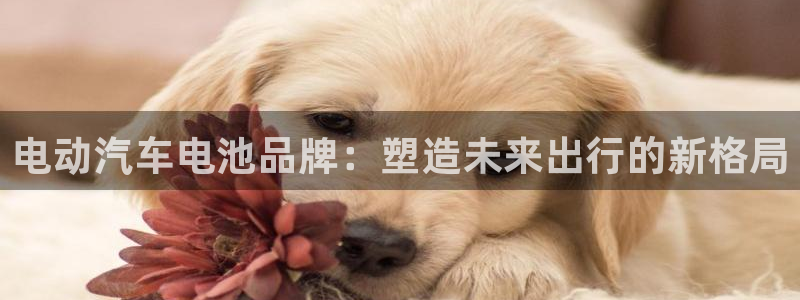 优发国际游戏网站