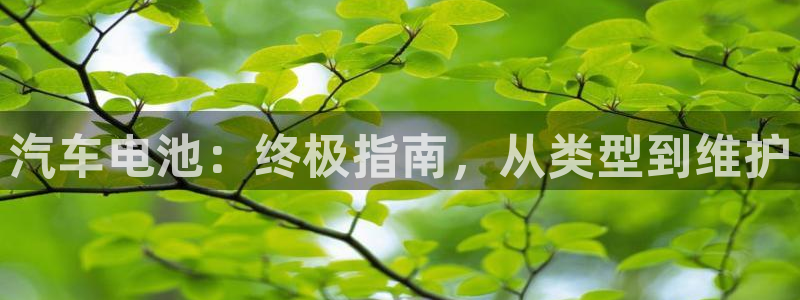 优发国际手机app下载安装官网