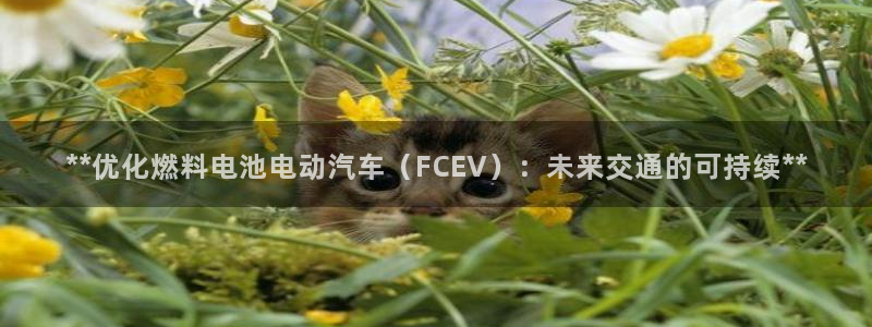优发国际-触即发